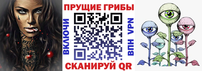 Галлюциногенные грибы Cubensis  Купить закладки  Спасск-Дальний 